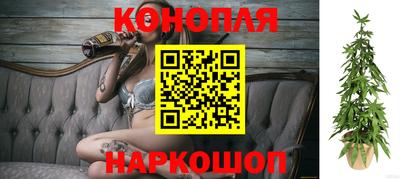 спиды Моздок