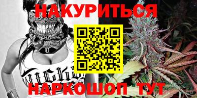 гидропоника Можайск