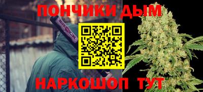гидропоника Можайск