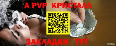 apvp Можга