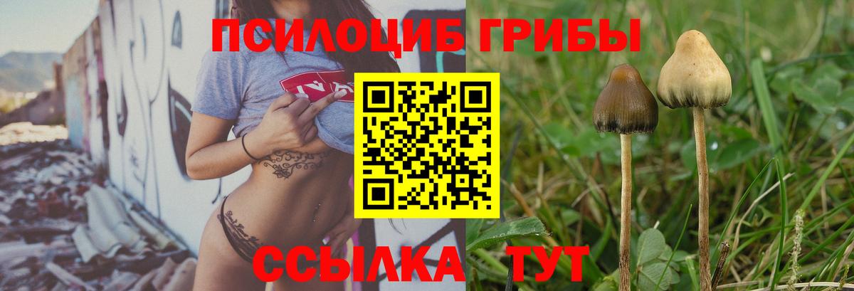Галлюциногенные грибы ЛСД  Вход с VPN  Великий Новгород 
